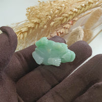 Translucent Icy Green Jadeite “Dragon Tortoise” (JAM000457) 6