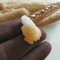Translucent Icy with Yellow Jadeite “Dragon Tortoise” (JAM000797) 5