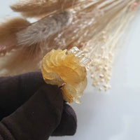 Good Translucency Icy Honey Yellow Jadeite "Golden Rooster" Pendant (JAB005134) 5