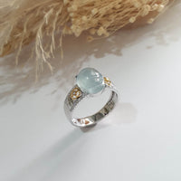 Highly Translucency Icy Sky Blue “Auspicious Wealth Toad” Ring (JAD000753) 1
