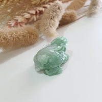 Translucent Icy Green Jadeite “Dragon Tortoise” (JAM000457) 3