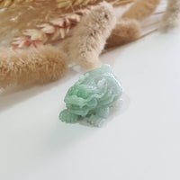 Translucent Icy Green Jadeite “Dragon Tortoise” (JAM000457) 5