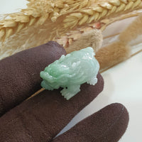 Translucent Icy Green Jadeite “Dragon Tortoise” (JAM000457) 8