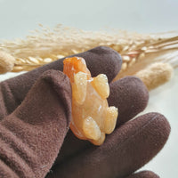 Translucent Icy Brilliant Orangey Jadeite “Dragon Tortoise” (JAM000795) 6