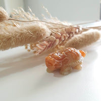 Translucent Icy Brilliant Orangey Jadeite “Dragon Tortoise” (JAM000795) 9