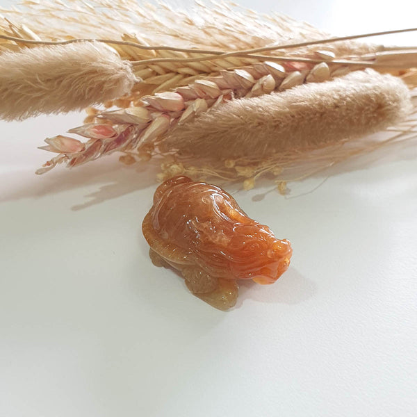 Translucent Icy Brilliant Orangey Jadeite “Dragon Tortoise” (JAM000795) 1