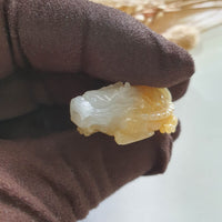 Translucent Icy with Yellow Jadeite “Dragon Tortoise” (JAM000797) 3