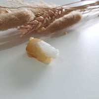 Translucent Icy with Yellow Jadeite “Dragon Tortoise” (JAM000797) 1