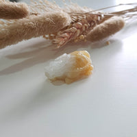 Translucent Icy with Yellow Jadeite “Dragon Tortoise” (JAM000797) 2