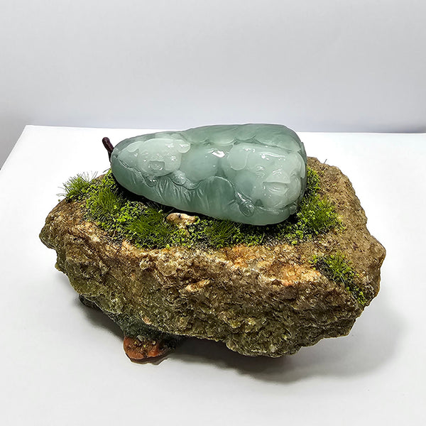 Translucent Icy Green Jadeite "Smiley Piglets in Giant Cabbage" (JAM000839) 1